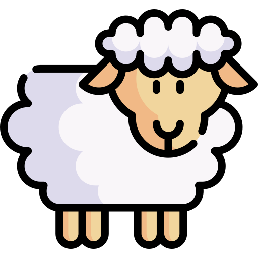 Image mouton